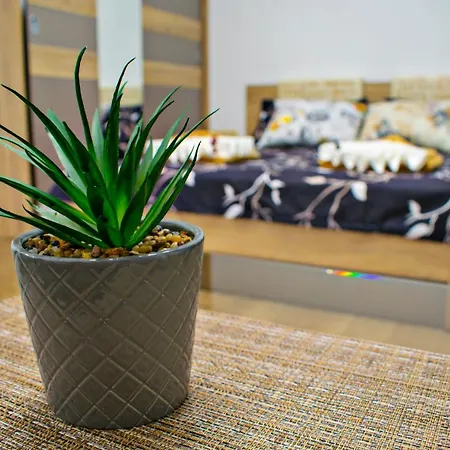 Luxurious Studio Apartment “The Hill” Апартамент